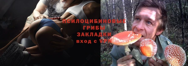 круглые Алзамай