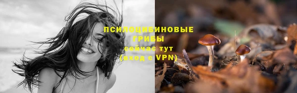 каннабис Алексин